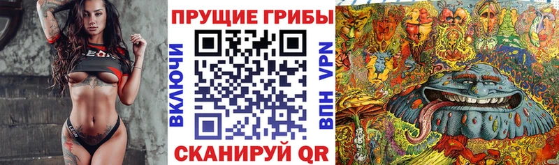 Псилоцибиновые грибы мицелий  Горнозаводск 